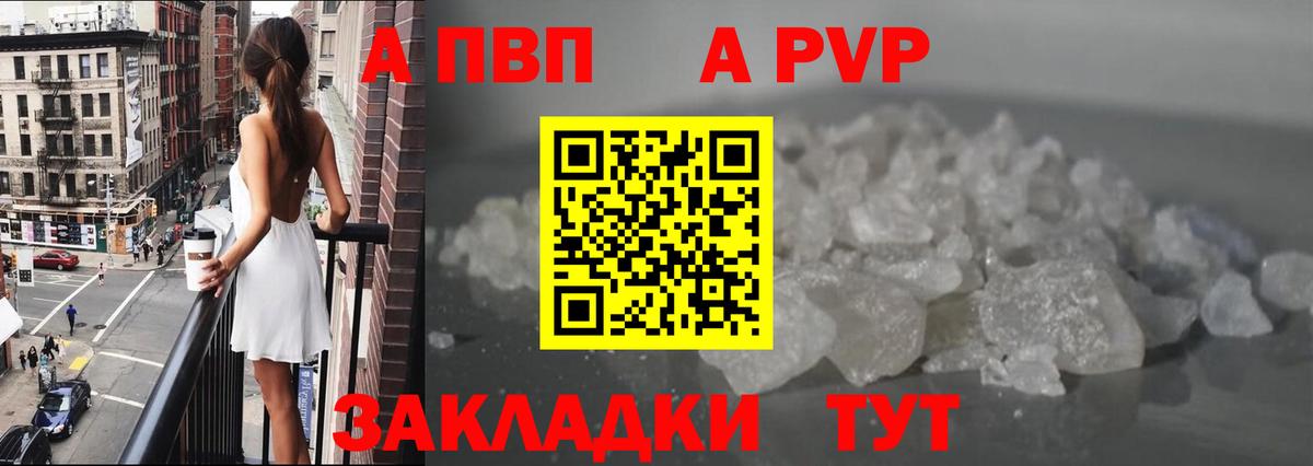 Альфа ПВП СК Канаш