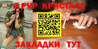 тгк Бийск